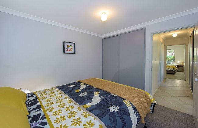 Bird's Nest - Foto 5