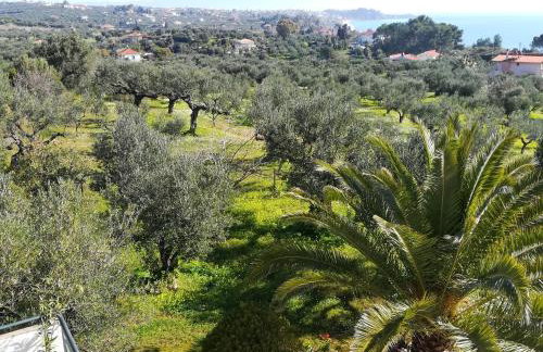 Villa Mariana - Foto 58