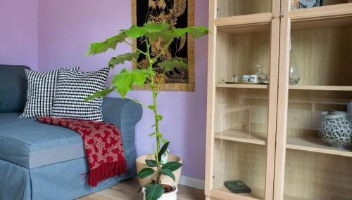 farbenfrohe Ferienwohnung - Foto 5