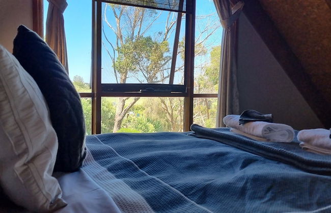 Eastern Reef Cottages - Foto 22