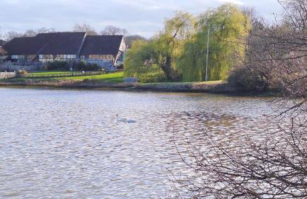 Sandown on The Creek - Foto 38