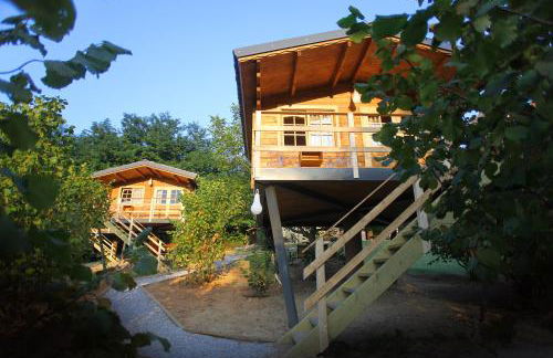 Ecolodge Langhe - Foto 1