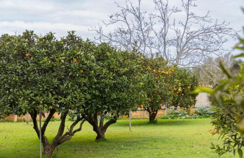 Yourhouse Villa Sa Caseta - Foto 33