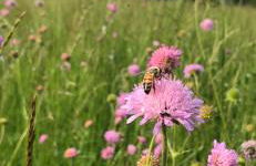 ElleCi Casa Vacanze - Photo 53