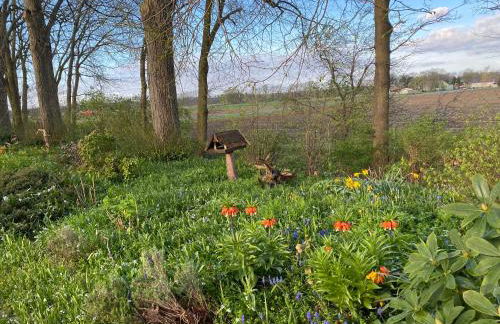 Bahnhof Mulknitz - Foto 9