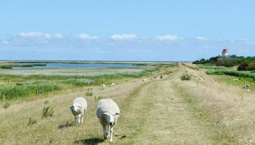 Familienfreundliches Ferienhaus Nahe Niobe Strand - Foto 3