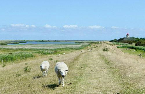 Familienfreundliches Ferienhaus Nahe Niobe Strand - Foto 3
