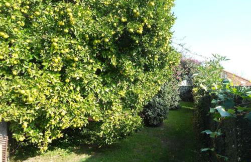 Casa Los Mozos, a 9 kilómetros de Santander y a 6 de Cabárceno - Foto 31