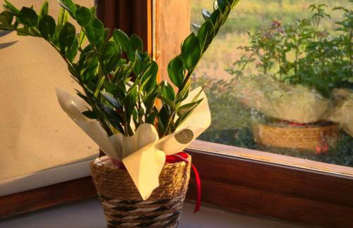 Perivleptos ΙI - Foto 25