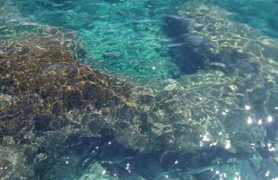 Reef house loft - Foto 16