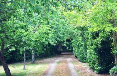 Manoir majestueux à Chaniers avec piscine privée - Foto 48