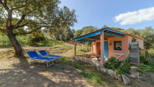 Résidence Itylon - Foto 5, Garden, sunbed, Garden view