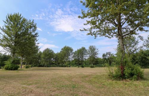 Swan Lodge - Photo 39