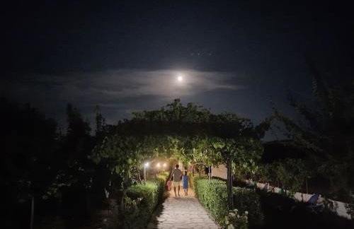 The Pergola Cottage...Feel the local vibes! - Foto 36