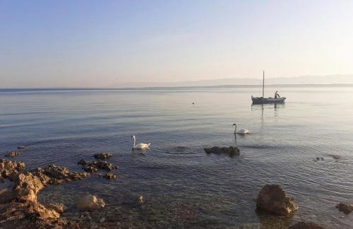 Apartment Brane - Photo 30