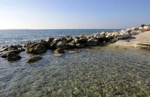 The House Aunt Regina - Foto 68