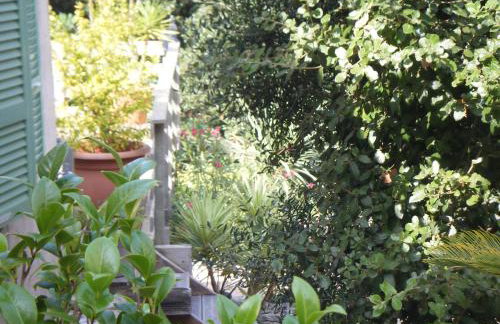 Gîte Acellu - Foto 40
