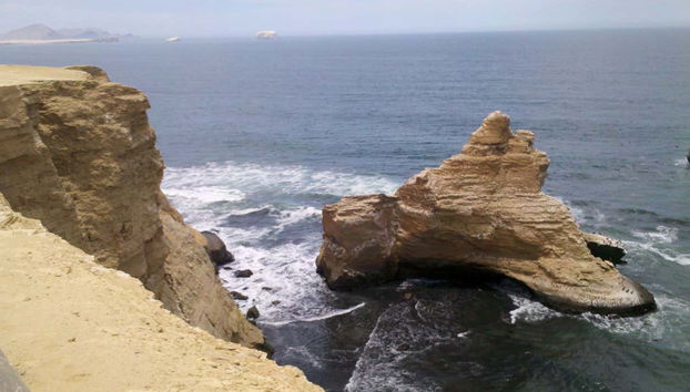 Escursione alla Riserva Nazionale di Paracas - Foto 4