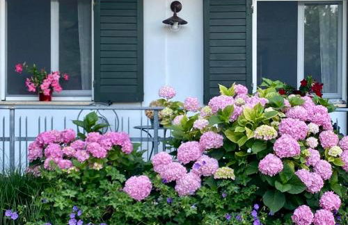 Elegante Appartamento con Vista - Colli Euganei - Foto 21