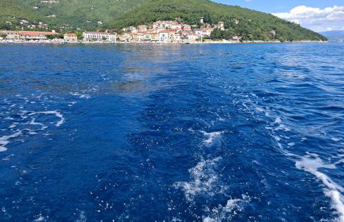 Apartments Blue & Green - Foto 71