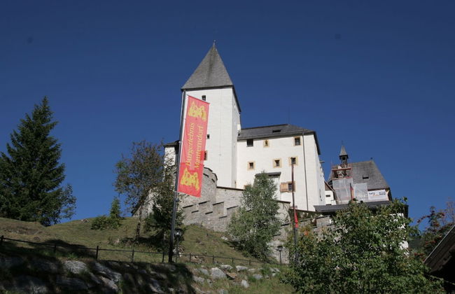 Apartment in the ski Area of St. Margarethen - Photo 22