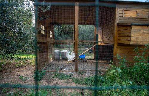 La Casa Dei Fiori - Foto 7