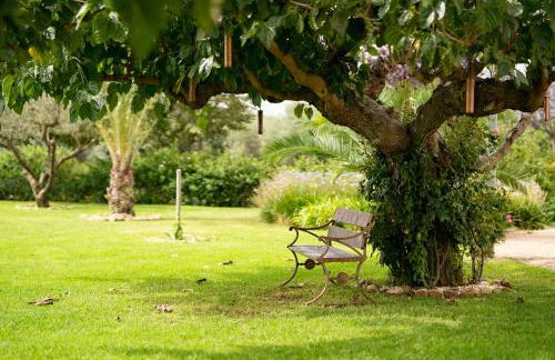 Mas Montbrio Belvedere - Foto 66