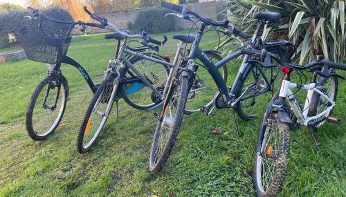 L hirondelle - Foto 4