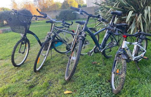 L hirondelle - Foto 4