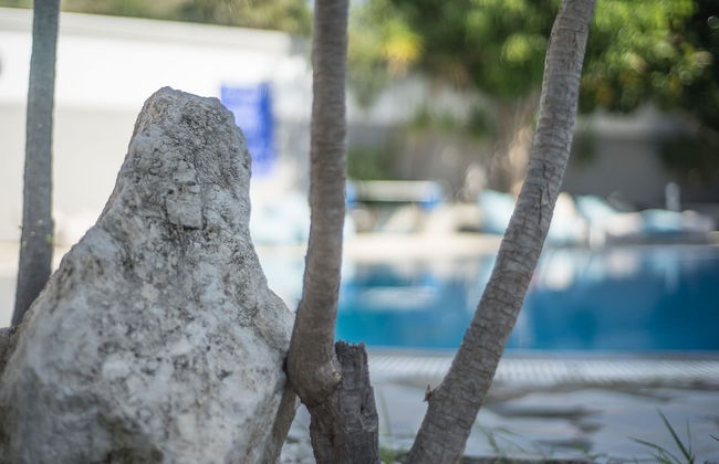 Anika Studios - Foto 16