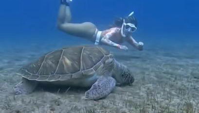 Rincón Mirador Risco Verde - Photo 4