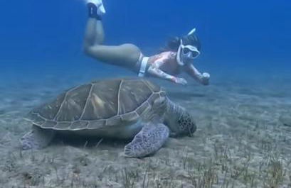 Rincón Mirador Risco Verde - Photo 4