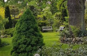 Fort Janowek - Foto 29