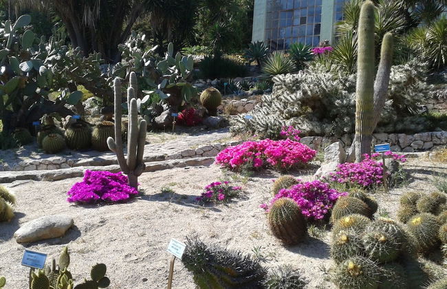 Locanda dei Buoni e Cattivi - Foto 61