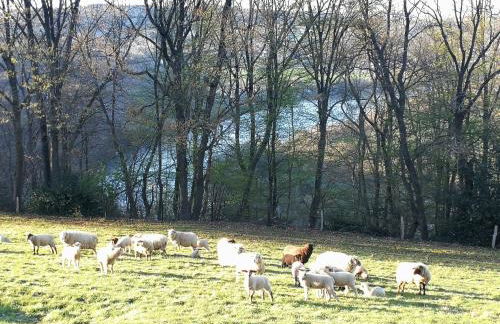 Das Burgberghaus Apartment Auwald - Foto 33