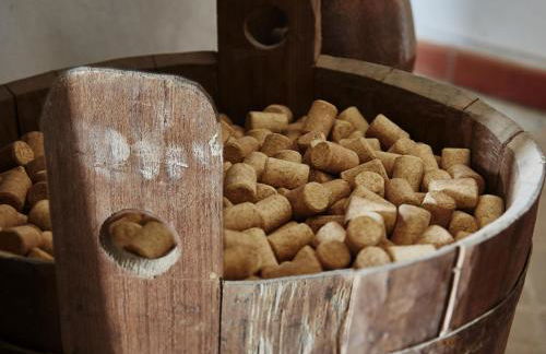 Agriturismo Le Tre Rose - Cantina Zanello - Foto 41