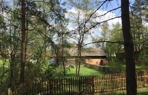 Chatka mojego dziadka - Foto 32