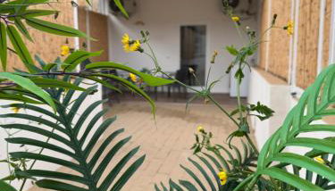 Napoli centro storico casa viscardi 2 - Foto 3