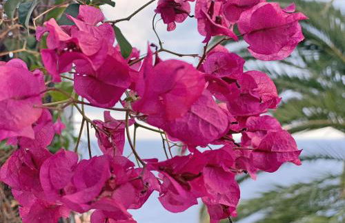 Holiday Home Villa Castillo Moro by Interhome - Foto 37