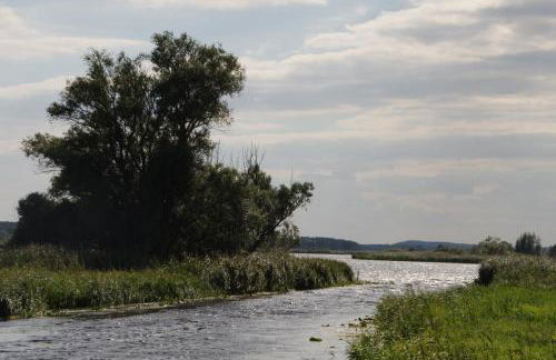 Finnhütten Waldesruh - Foto 38