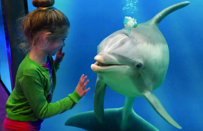 Pet-friendly Zeeland Getaway - Foto 29