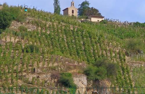 Studio Vans - Foto 13