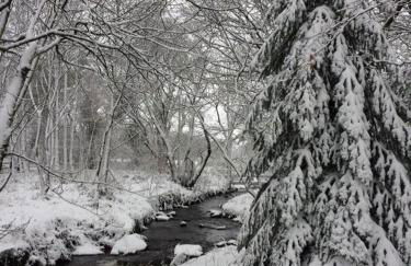 Converted Granary on a rural small holding - Photo 25