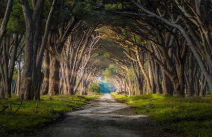 Tra Puccini ed il mare - Foto 60