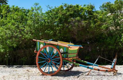 Quinta Velha by GT House - Foto 58