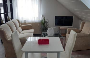 Ruhiges Einzimmer-Apartment - Foto 5