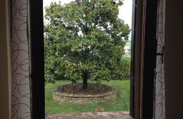 Tre Girasoli - Foto 37