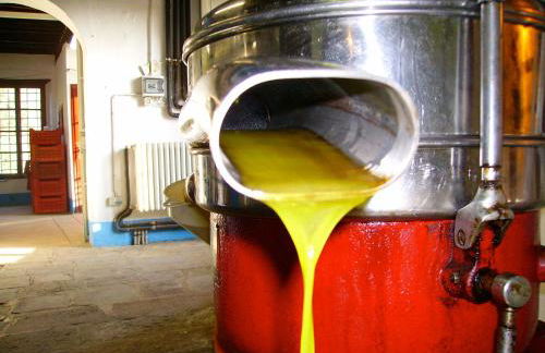 Fattoria Gambaro di Petrognano - Foto 24