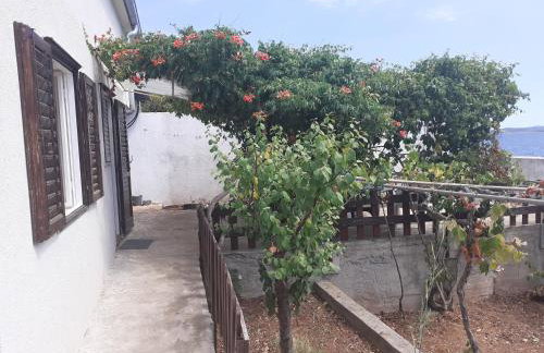 Secluded fisherman's cottage Cove Cerenje, Pasman - 8477 - Foto 10