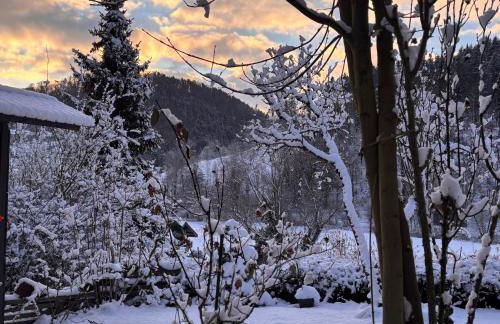 Waldblick Glatt - Photo 20